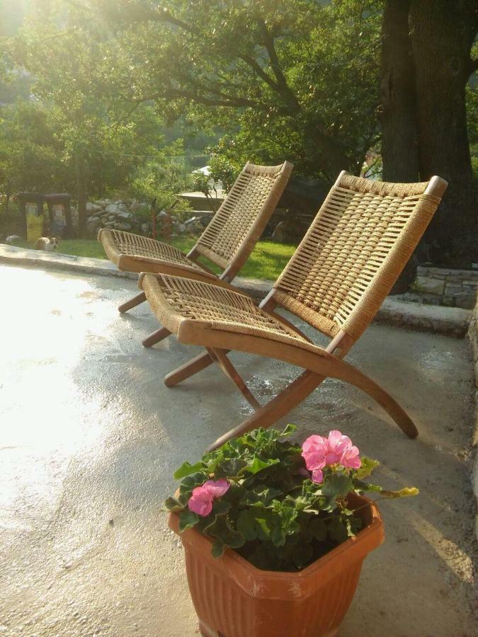 Holiday Homes Mirjana Moscenicka Draga Exterior photo